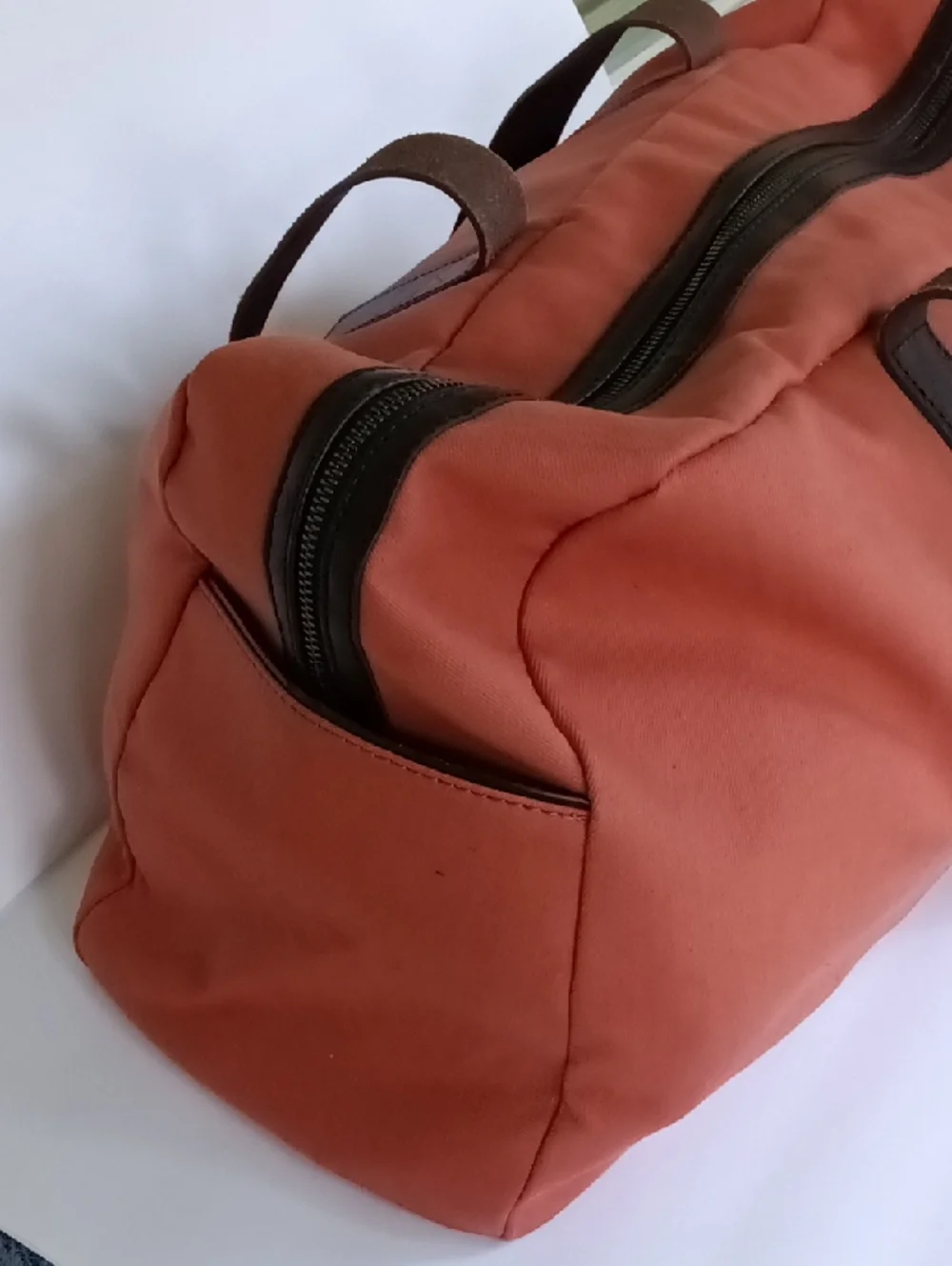Everlane roomy bag